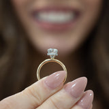 Add On - Moissanite Hidden Halo