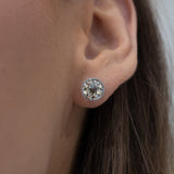 E104 ~ Moissanite Earrings